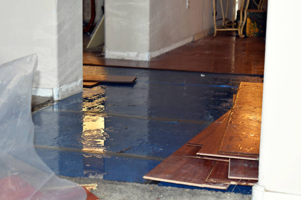 Professional Water Damage Restoration technician working in East Springfield, OH